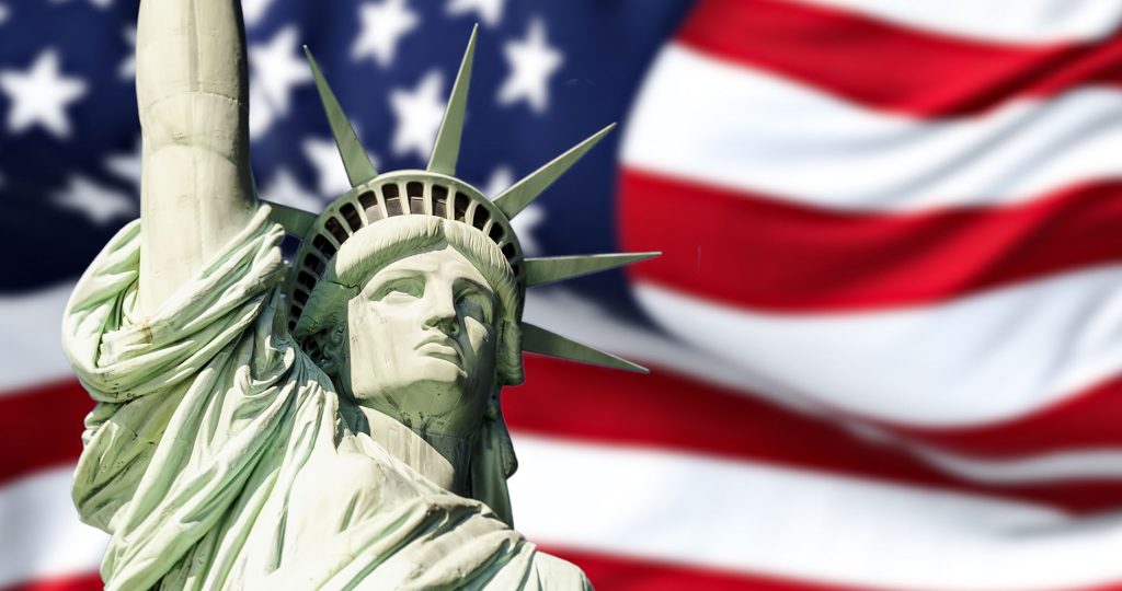image of statue of liberty with a flag in the background