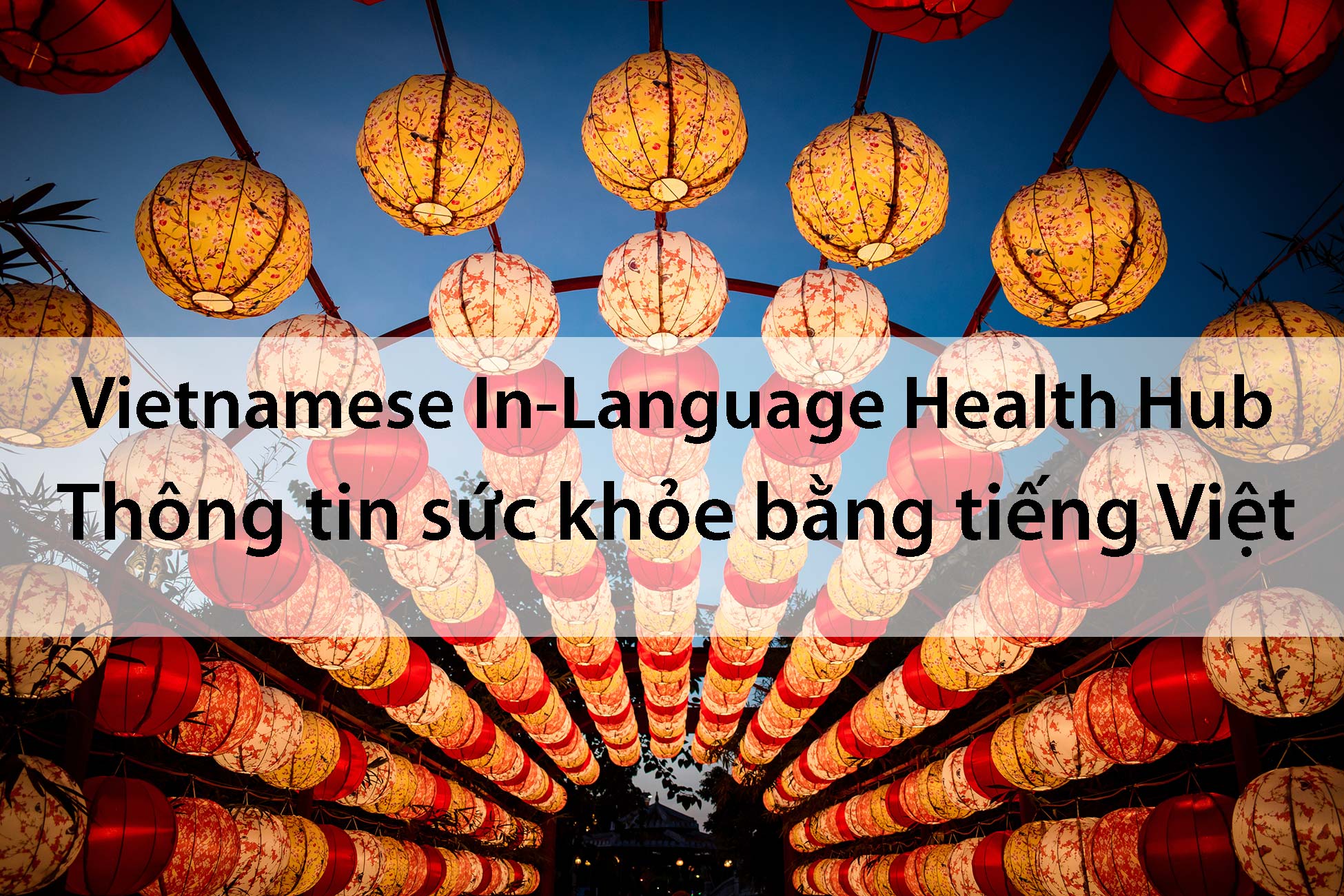 Photo of Vietnamese lanterns with the words" Vietnamese In-language health hub" plus this same phrase written in Vientamese